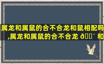 属龙和属鼠的合不合龙和鼠相配吗,属龙和属鼠的合不合龙 🌴 和鼠相配吗女孩